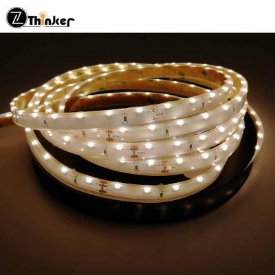 China Decorative SMD 3014 60leds/m LED Strip 5m 12V LED Diode Lighting Strip Waterproof LED Ribbon Lamp LED String Rope for sale