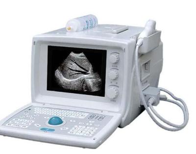 China Portable Metal Ultrasound Medical Instruments Ultrasound Scanner RH-300A for sale