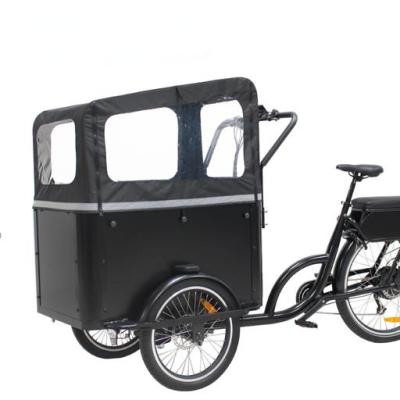 China Europe steel three wheels hot sale electric cargo bike with water proof shed for kids or pets for sale