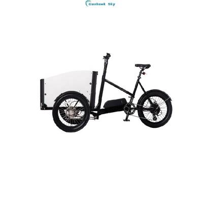 China Luxury Electric Rocker 250W Cargobike Scooter 3 Wheels Cargo for sale