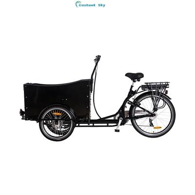 China Deluxe Removable Canopy System With Electric Cargobike Tricycle Family Picnic Top Cart For Sale for sale