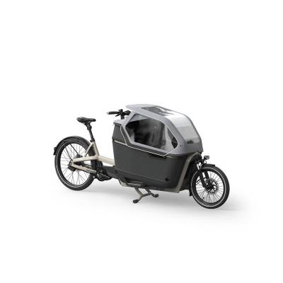 China Hot Selling Luxury China Two Wheel With Box Electric Bicycle Family Cargo City Ebike for sale