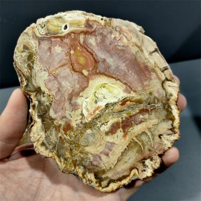 China China Wholesale Natural Specimen Stone Petrified Wood Slice Crystal Wood Fossil Slab Rough for sale