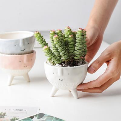 China Northern Europe simple and creative household round green modern ceramic flowerpot large rose fleshy tiger skin orchid for sale