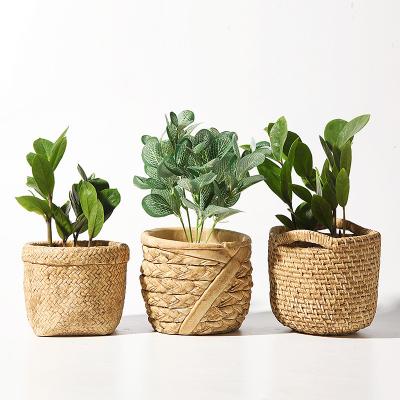 China Wholesale Decorative Potted Plant Pot Pineapple Plant Pot Cement Personality Cement Flower Pot Fleshy Green Potting Simply Creative Home for sale