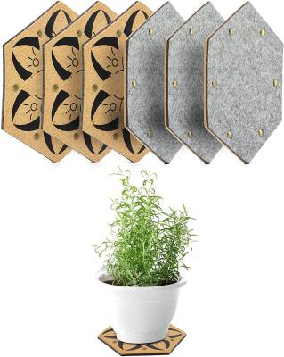 China 6Pcs Reversible Absorbent Reversible Hexagon Shaped Felt and Cork Plant Coasters Plant Saucers for Indoors 6mm Thick for sale