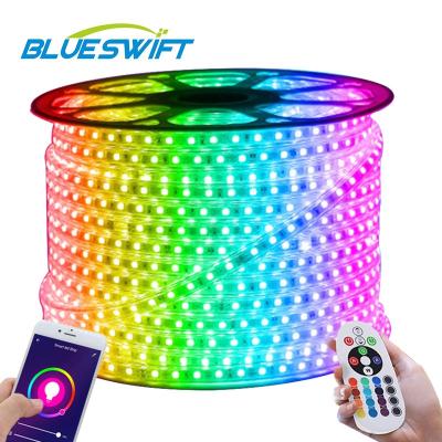 China Residential 220V 110V 5 100 Meter Underwater IP68 Waterproof RGB Lux LED Strip Light/Colorful Strip Lights/Led Strip Light for sale