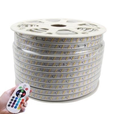 China 220V Residential Rgbw Smart LED Strip Lights 110v With Remote 4-10W 2 Years Warranty for sale