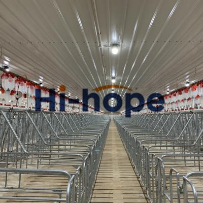 China China Turn Key Project Swine Farm Complete Equipment For Pigs for sale