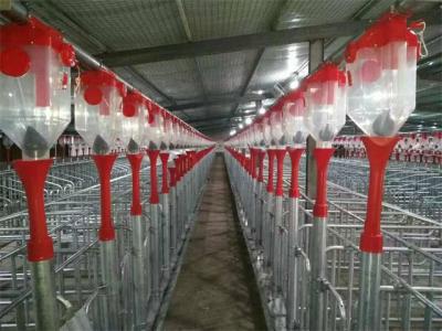 China Automatic Piggery Farm Equipment 45mm Dia Disc Chain Feeding Hog Barn Supplies for sale