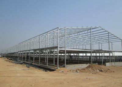 China Environmental Controlled Layer broiler chicken shed construction 275g Zinc Coatings for sale