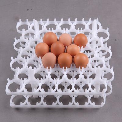 China 36 30 Eggs Farm Layer Plastic Egg Tray for sale