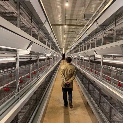 China ISO Chicken Farm Equipment Hens 3 4 Tiers Layer Cage Poultry Equipment for sale