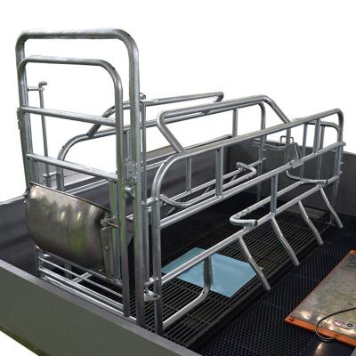 China Pig Farming Swine Sow Farrowing Crate Anti Rust Easy Installation for sale