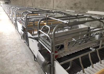 China Automatic Swine Hog Gestation Crates Floor Standing HI HOPE for sale