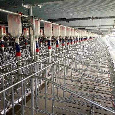 China OEM ODM Piggery Farm Equipment Gestation Pens For Sows Rear Door Design for sale