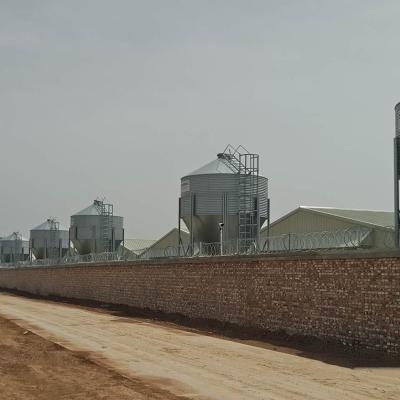 China Pig Poultry House Silo Feed Bin 40 degree Roof 1830mm 3660mm dia for sale