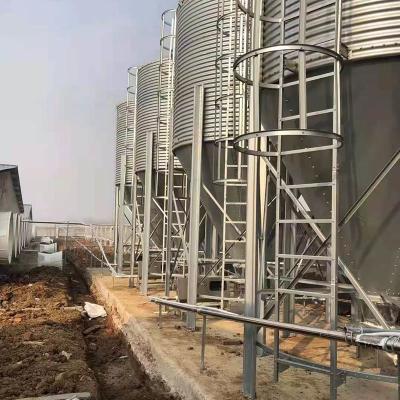 China Hot Dip Galvanized Silo Feed Bin 2.5 - 45 Tons Automatic Chicken Feeding for sale