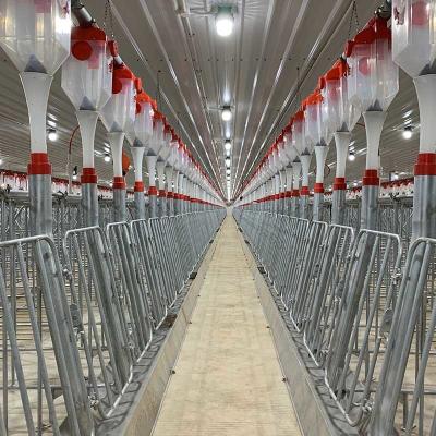 China Automatic Raising Housing And Equipment For Swine Production CE SGS for sale