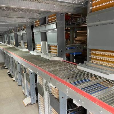 China Galvanized Stainless Egg Conveyor Belt Systems For Egg Collection And Grading for sale