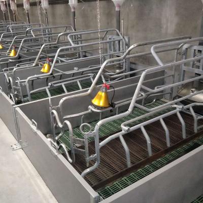 China Incubator Lamp Heating Sow Farrowing Crate With Drinking Bowl for sale