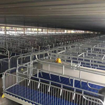 China 2.4*1.8m Pig Sow Farrowing Crate Pen for sale