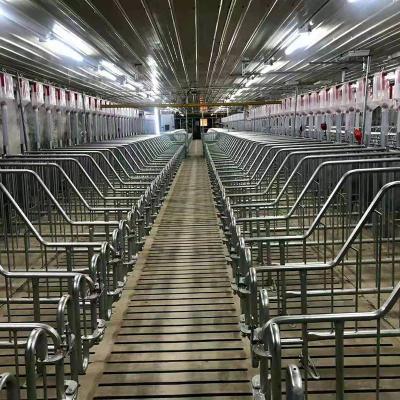 China Galvanized Steel Sow Hog Gestation Crates 2.5mm Thickness for sale