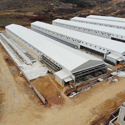 China HI HOPE Farm Designed Prefab Poultry House High Sealing Broiler Shed Construction for sale