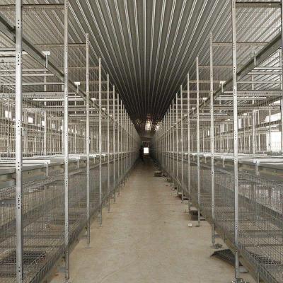 China Modern Commercial 25.5*24.5 Inch Poultry Layer Cage Hot Dip Galvanized for sale