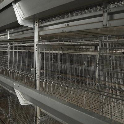 China CE Livestock 50000 Birds Automatic Layer Poultry Equipment Trolley Feeding for sale