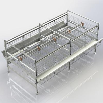 China Hot Galvanized Broiler Hen Poultry Layer Cage 0.2% Eggs Damaging for sale