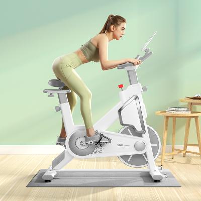 China YPOO 2022 Comfortable Design Fitness Bike New Arrival Spinning Bike for sale