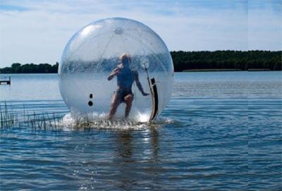 China Commerciële Grote Slag - omhoog de Bellen Opblaasbare Water van het Waterspeelgoed Reuze Sexy het Lopen Bal Te koop