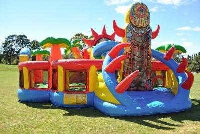 Cina Il castello rimbalzante all'aperto di Inflatables, gioco di partito gonfiabile gioca il mini saltatore gonfiabile dei bambini in vendita