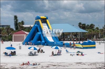 China Outdoor Commercial Giant Adults Inflatable Hippo Water Slide For Beach With Blower for sale