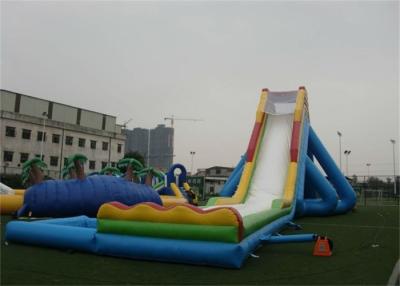 China EN14960 Eco - Vriendschappelijke Reuze Opblaasbare Waterdia voor Tuin Volwassen Opblaasbare Spelen Te koop