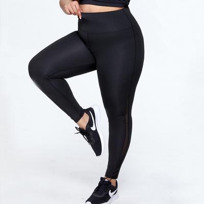 China Wholesale Antibacterial Stock Plain Black Plus Size Pants With Mesh Plus Size Activewear Leggings For Women for sale