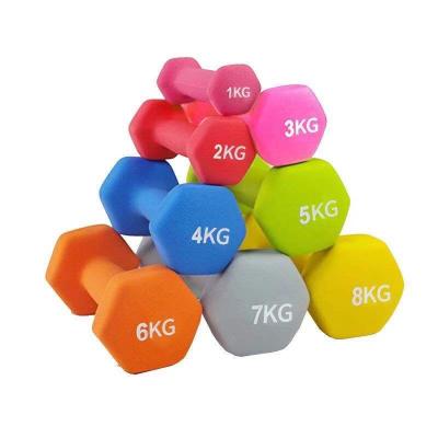 Κίνα Custom Large Dumbbells 10kg Neoprene Coated Dumbbells Home Use Dumbbell προς πώληση