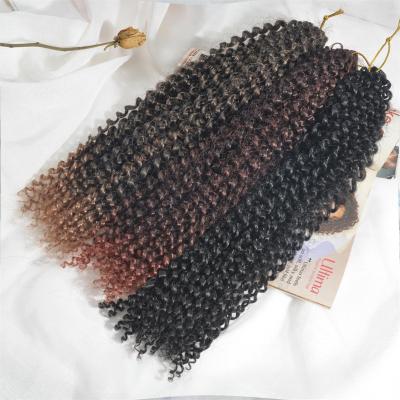 China 80g Synthetic Passion Twist Crochet Hair Extensions Water Wave Braiding Hair 22strands 18