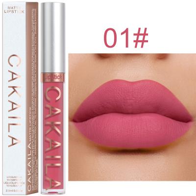 China CAKAILA 18 Color Lipstick Waterproof Non-stick Matte Cup Waterproof Lip Gloss for sale