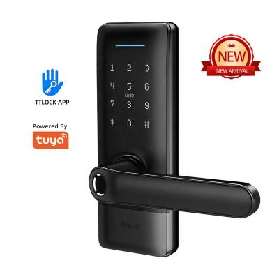 China Bluetooth+WiFi+Fingerprint+Card+Password+Mechanical Locks Good Service Smart Lock Fingerprint WiFi Handles Door Lock With Competitive Price for sale