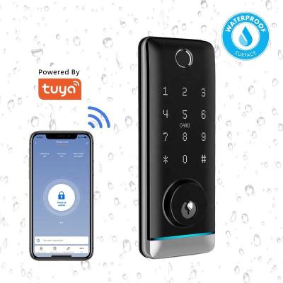 China Bluetooth+WiFi+Fingerprint+Password+Card+Mechanical Locks Fingerprint Electronic Auto Deadbolt Card Digital Security Alarm Smart Door Lock for sale