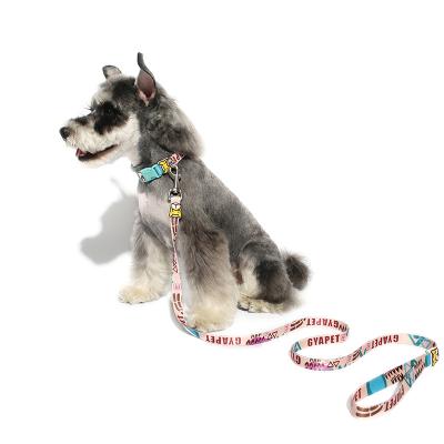 China Custom Retractable Long Viable Multi-Color Portable Nylon Dog Leash Dog Collar and Leash Set for sale