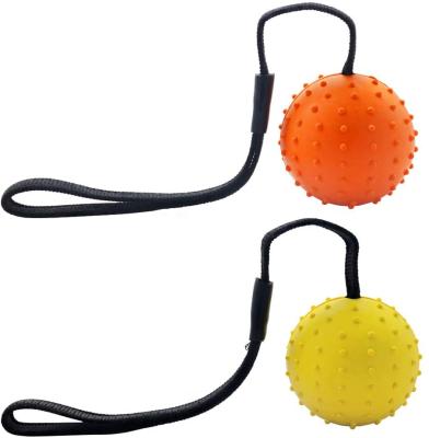 China Viable High Quality Multiple Color Natural Rubber Dog Toy Ball On A Strap Rope Dog Training Toys for sale