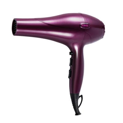 China RIWA Ionic Brand Hair Dryer Professional Salon Use AC Motor Big Power 2200W for sale