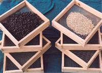 China 1.6mm van de de sojaboonzeef van het Korrelgraan Geweven de Draadnetwerk Roestvrij staal Te koop