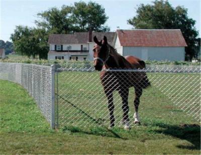 China 9 Gauge Farm Cyclone Wire 3.0mm Chain Link Mesh Fence for sale