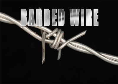 China 12x12 Single Twisted Galvanized Razor Barbed Wire for sale