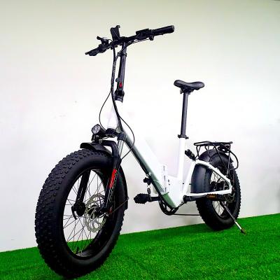 China Aluminum alloy fat tire electric bike step by 750W/48V lithium 20