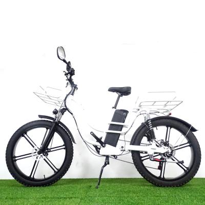 China Aluminum alloy 48V motor powered 750W motor fat tire cargo bike delivery high quality family electric bike for sale